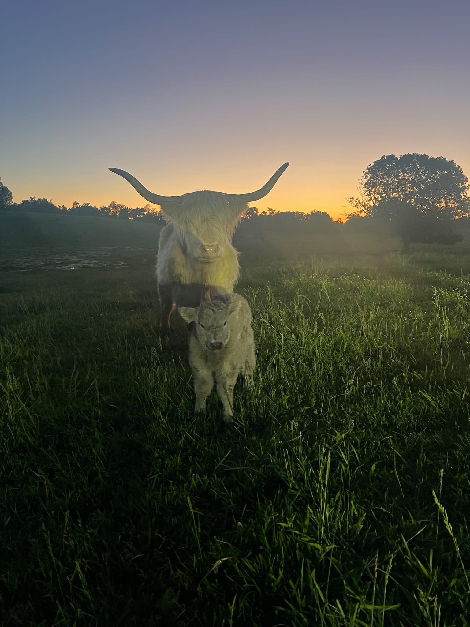 428068436_122170781900059411_3059786350809522300_n